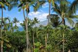 135 Kaimanu Pl - Photo 22