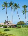 2737 Kihei Rd - Photo 12