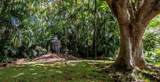 223 Plantation Club Dr - Photo 7