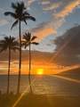 2430 Kihei Rd - Photo 39