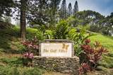 500 Kapalua Dr - Photo 39