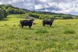 5670 Hana Hwy - Photo 16