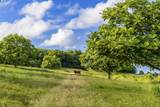 5670 Hana Hwy - Photo 17