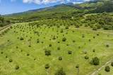5670 Hana Hwy - Photo 19