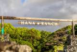 5670 Hana Hwy - Photo 30