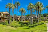 3600 Wailea Alanui Dr - Photo 32