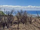  Uluanui Rd - Photo 5