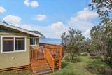 31 Hapapa Rd - Photo 16