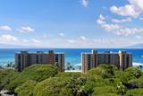 110 Kaanapali Shores Pl - Photo 43
