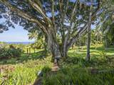 245 Honokala Rd - Photo 39