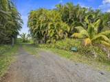 245 Honokala Rd - Photo 50