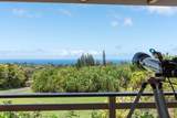 2600 Alohia Pl - Photo 22