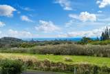 2600 Alohia Pl - Photo 40