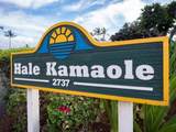 2737 Kihei Rd - Photo 20