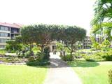 3543 Lower Honoapiilani Rd - Photo 18