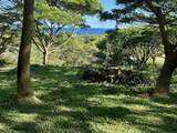 0 Hana Hwy - Photo 10