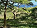 0 Hana Hwy - Photo 11