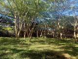 0 Hana Hwy - Photo 8