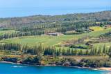 500 Kapalua Dr - Photo 43