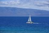 110 Kaanapali Shores Pl - Photo 20