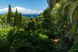 715 Honokala Rd - Photo 18