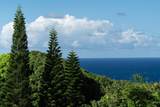 715 Honokala Rd - Photo 19