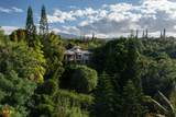 715 Honokala Rd - Photo 50