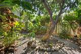 118 Waiapo St - Photo 29