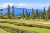 50 Puu Anoano St - Photo 4