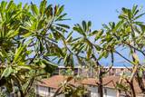 3740 Lower Honoapiilani Rd - Photo 4