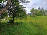 40811 Hana Hwy Hwy - Photo 4