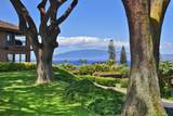 50 Puu Anoano St - Photo 6