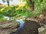 1444 Kuiaha Rd - Photo 28