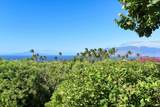 3220 Waileia Pl - Photo 12