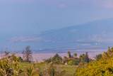 40 Kapalulu Pl - Photo 13