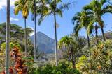 2673 Kamaile St - Photo 48