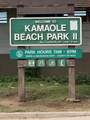 2531 Kihei Rd - Photo 3
