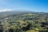 82 Mamao Pl - Photo 2