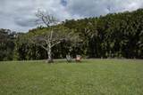 30 Mamao Pl - Photo 29