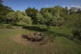 30 Mamao Pl - Photo 35
