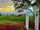 17526 Haleakala Highway Hwy - Photo 28
