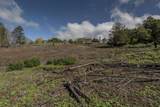 230 Pulehuiki Rd - Photo 9