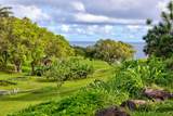 400 Mehana Rd - Photo 47