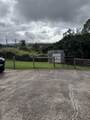 40 B Puia Puia Pl - Photo 6