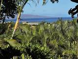 10 Wailea Ekolu Pl - Photo 1