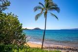 4584 Makena Rd - Photo 12