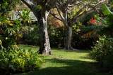 453 Honokala Rd - Photo 16