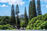 197 Holokahiki Ln - Photo 12