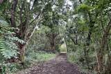 0 Hana Hwy - Photo 5
