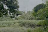 0 Hana Hwy - Photo 6
